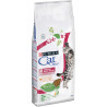Cibo purina cat chow cura urinaria (15 kg)