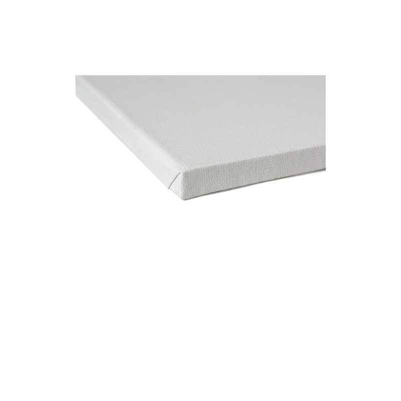 Tela per dipingere cwr classic 100x120 [355/100120]