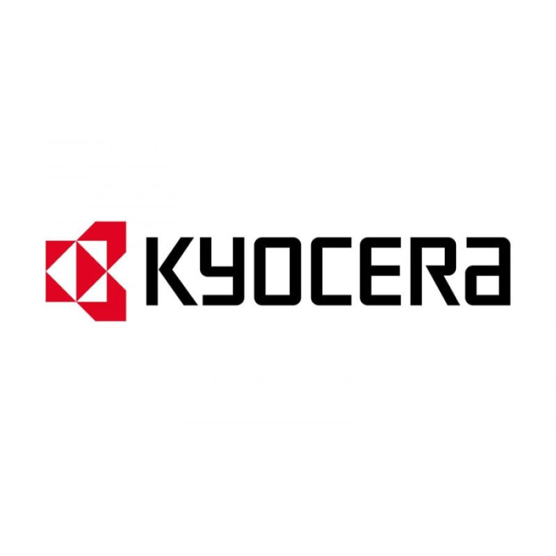 Developer kyocera dv-160e 100000pagine nero [302ly93010]