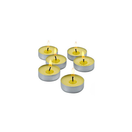 Candela lapillo citronella tealight 25 pezzi [09291]