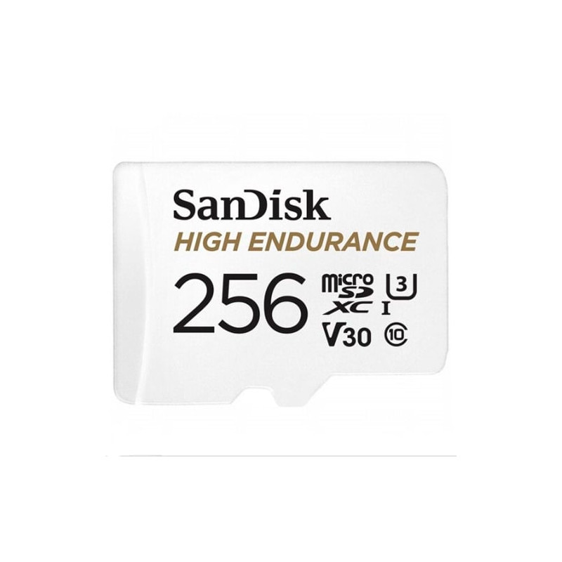 256gb scheda microsdhc sandisk high endurance [sdsqqnr-256g-gn6ia]