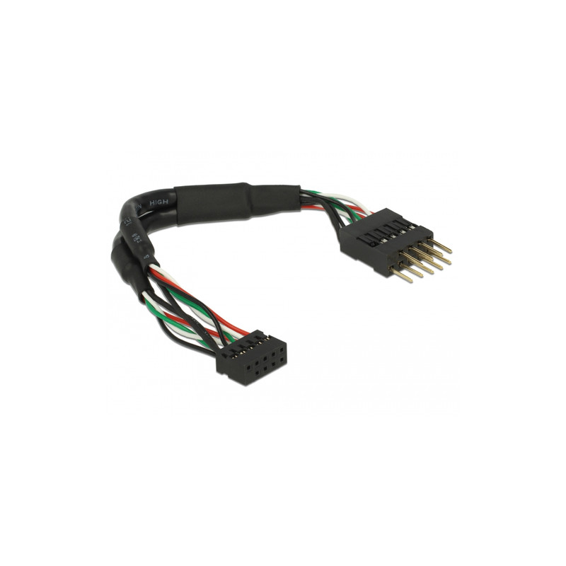 Cavo delock usb 2.0 2mm raster 10 [41977]