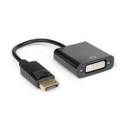 Adattatore displayport a dvi f(24+5) 1080p [xvadp-dv]