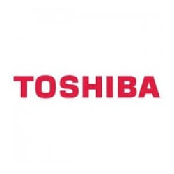 Toner toshiba t-fc210em magenta [6aj00000165]