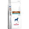 Feed royal canin (2 kg )