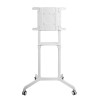 Supporto tv a pavimento newstar 32-70" (stand+trolley) (160cm)