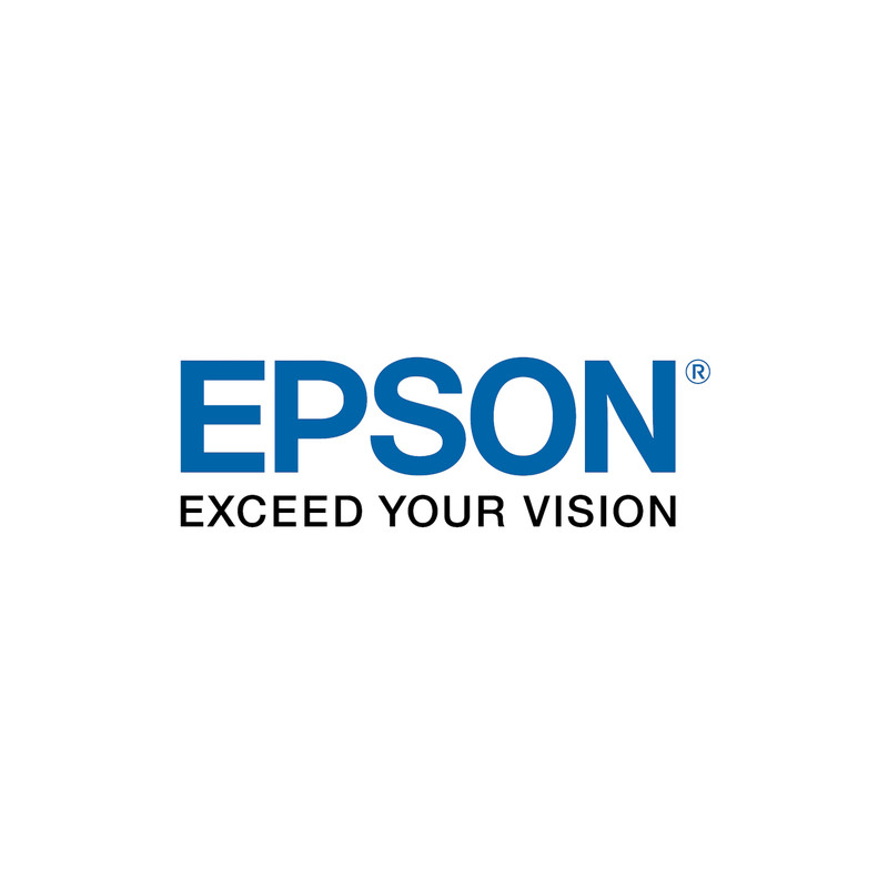 Cartuccia epson workforce enterprise magenta [c13t02y300]