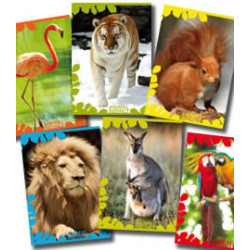 Maxiquaderno a4 20fg 10mm 80gr animal instinct blasetti 4984 [4984]