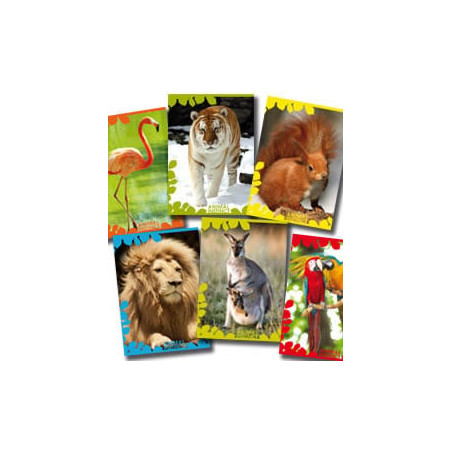 Maxiquaderno a4 20fg 10mm 80gr animal instinct blasetti 4984 [4984]