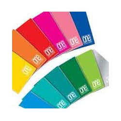 Maxiquaderno 210x297mm a4 20fg+1 80gr 2colonne one color blasetti