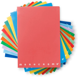 Maxiquaderno a4 36fg+2 100gr 1rigo c/marg monocromo 100 [02217800c]