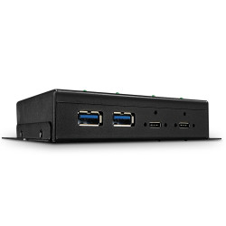 Hub usb lindy 4 port usb 3.1 gen 2 typ c [43094]
