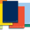 Quaderno a5 5mm 42fg 80gr monocromo pigna pz: 10 [02217785m]