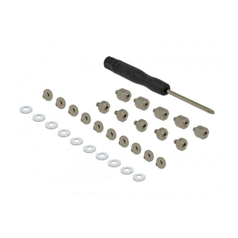 Set di montaggio delock 31-pezzi m.2 ssd [18288]