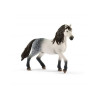 Schleich andaluso stallone [13821]