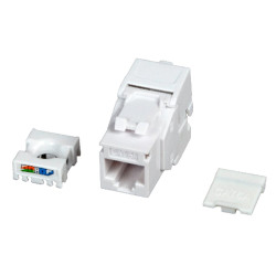 Frutto keystone oem cat.6a utp bianco