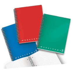 Maxiquaderno a4 spiralato c/fori 80gr 100fg 1rigo monocromo pigna