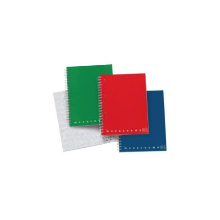 Maxiquaderno a4 spiralato c/fori 80gr 100fg 5mm monocromo pigna [02000035m]