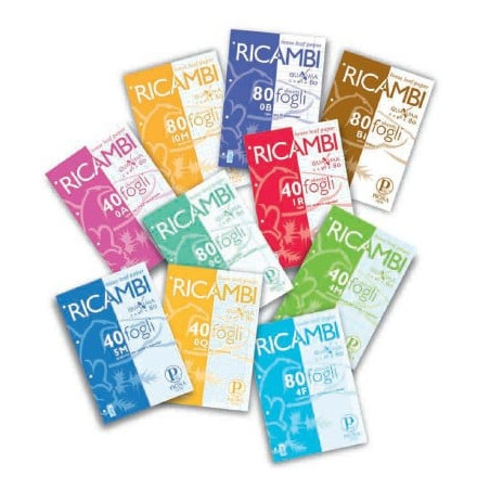 Ricambi forati a4 5mm quaxima 40fg 80gr pigna [00629035m]