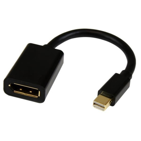 Adattatore startech.com mini displayport a displayport 15cm m/f [mdp2dpmf6in]