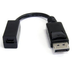 Adattatore video startech.com displayport a mini displayport dp2mdpmf6in