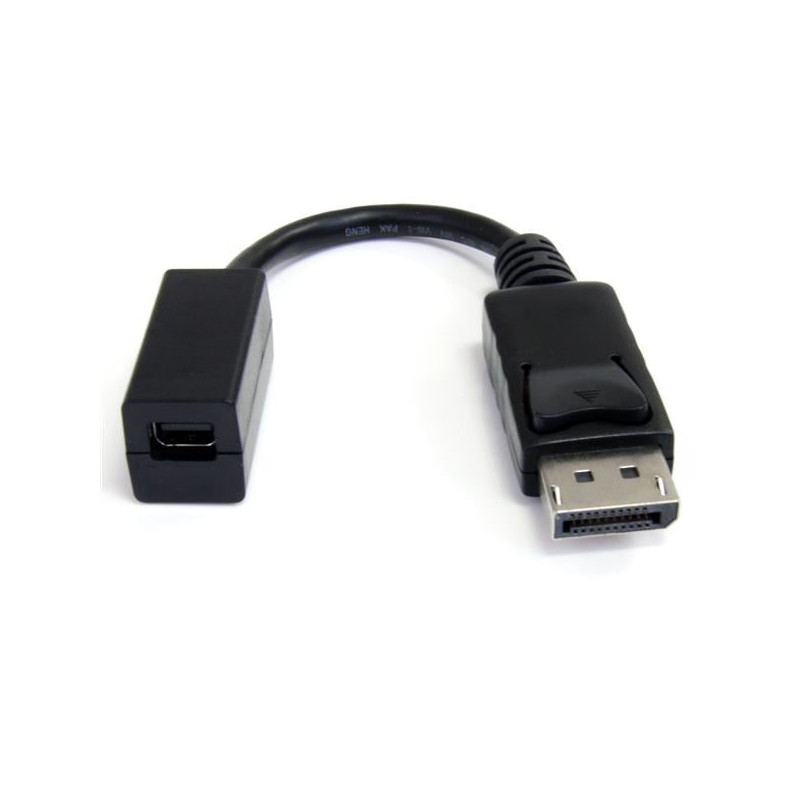 Adattatore video startech.com displayport a mini displayport dp2mdpmf6in