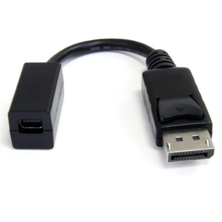 Adattatore video startech.com displayport a mini displayport dp2mdpmf6in