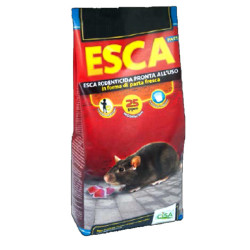 Trappola topi cisa adriatica [top2023]