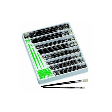 Vetrinetta 168 pennelli punta piatta pura setola serie 577 lebez