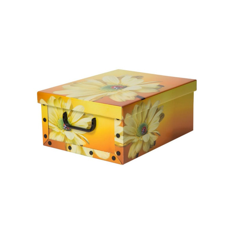 Scatola tendenze [6006]