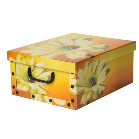 Scatola tendenze [6006]