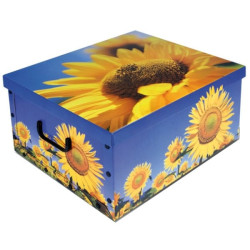 Scatola tendenze [0151]