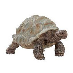 Schleich - wild life tartaruga gigante [14824]