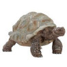 Schleich - wild life tartaruga gigante [14824]