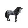 Schleich 13922 - cavallo spagnolo di razzo puro [wfslhz0uc013922]