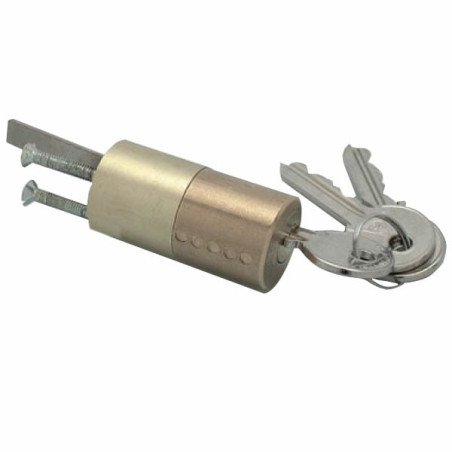 Cilindro cortellezzi [113-f-1]