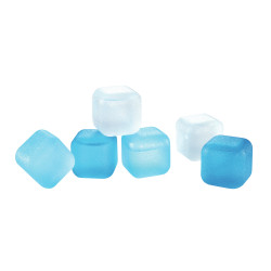 Set cubetti refrigeranti tescoma 24pz blu