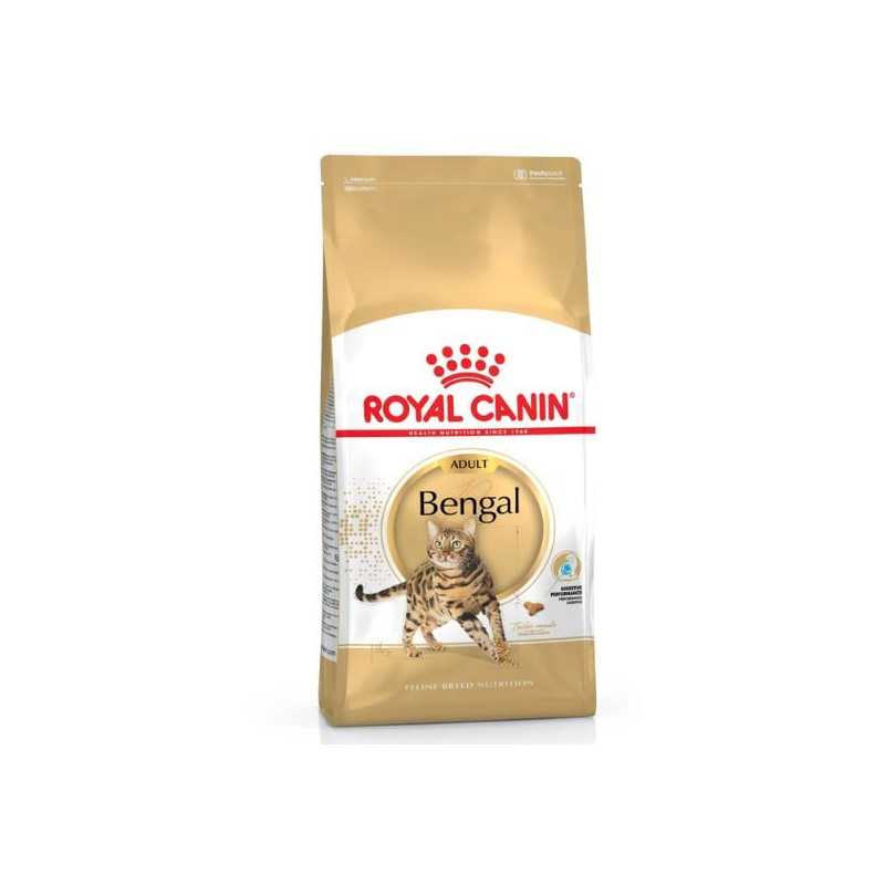 Cibo secco per gatti royal canin bengal adulto 10kg