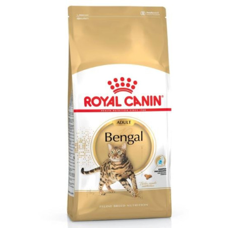 Cibo secco per gatti royal canin bengal adulto 10kg