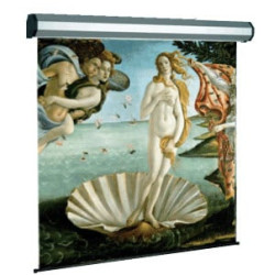 Schermo per proiezione sopar electric profess 1:1 300x250 [5304]