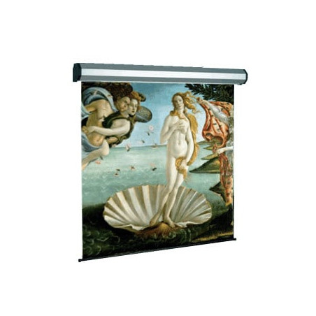 Schermo per proiezione sopar electric profess 1:1 300x250 [5304]