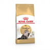 Mangime completo royal canin persian pollame/riso/verdura per gatto