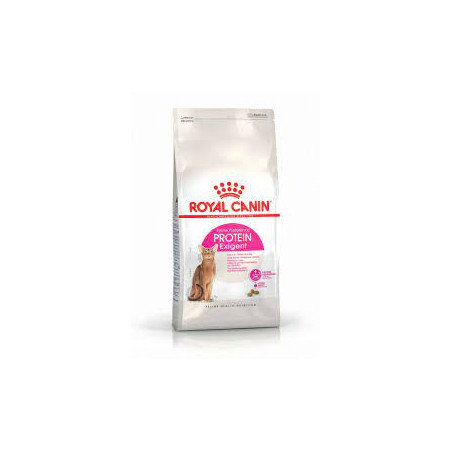 Mangime secco royal canin protein exigent verdura adulta per gatto