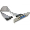 Cavo adapter delock slotblech 1x parallel 0,22m [84300]