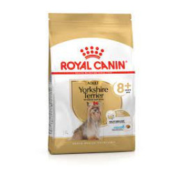 Mangime royal canin yorkshire terrier cibo secco per gatti adulti