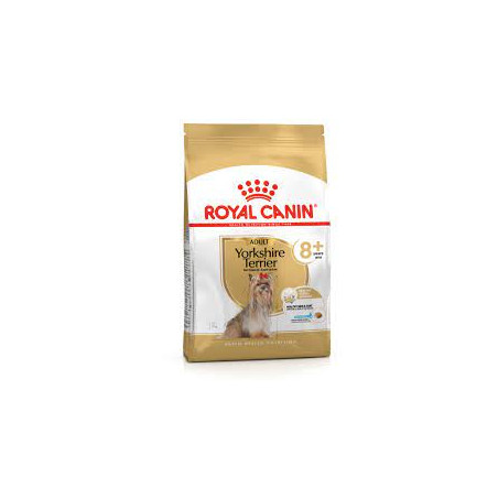 Mangime royal canin yorkshire terrier cibo secco per gatti adulti