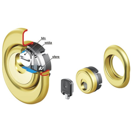 Protettore monolito magnetico disec 31mm oro lucido [3g3mb-25d1-a2]