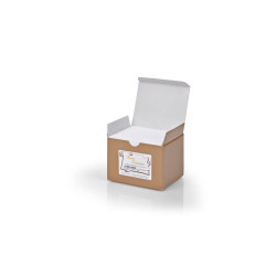 Buste sadoch f.to 4 75x112mm bristol 100pz bianco [8204busta]