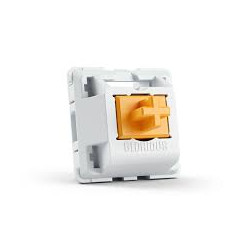 Switch tastiera panda glorious pc gaming race lubrificati 36 pz