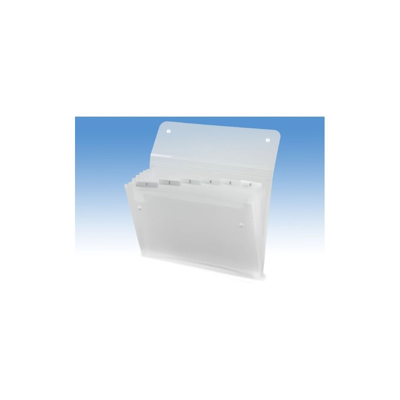 Cartella a soffietto rexel a 6 tasche 22x30cm trasparente ice [2102033]